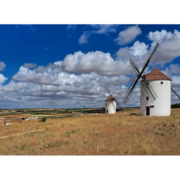 Visita Guiada Ruta del Quijote